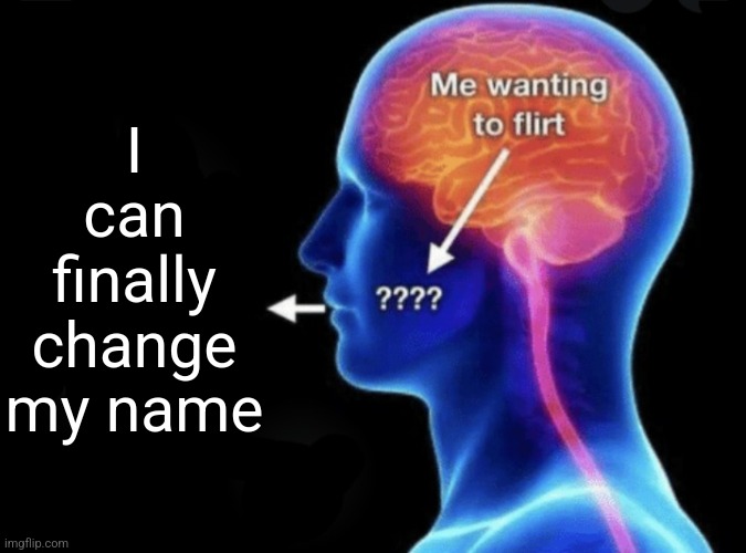 Me wanting to flirt | I can finally change my name | image tagged in me wanting to flirt | made w/ Imgflip meme maker