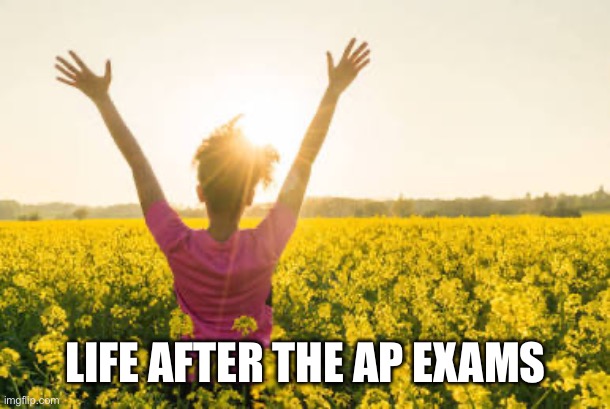I’m Finally Free ? | LIFE AFTER THE AP EXAMS | image tagged in high school,exams,studying | made w/ Imgflip meme maker