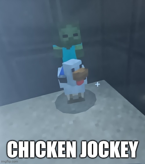 CHICKEN JOCKEY | made w/ Imgflip meme maker