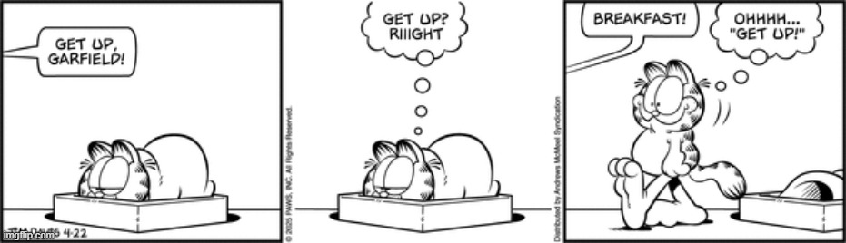 Garfield | image tagged in comics | made w/ Imgflip meme maker