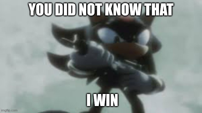 YOU DID NOT KNOW THAT I WIN | image tagged in shadow the hedgehog with a gun | made w/ Imgflip meme maker