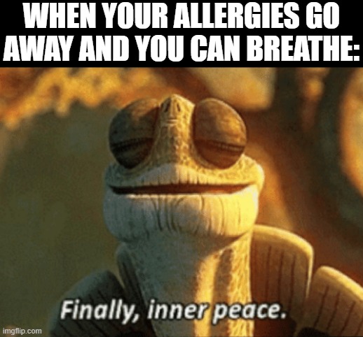 I'm free | WHEN YOUR ALLERGIES GO AWAY AND YOU CAN BREATHE: | image tagged in finally inner peace | made w/ Imgflip meme maker