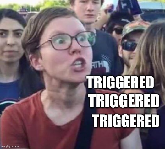 Angry Liberal | TRIGGERED TRIGGERED TRIGGERED | image tagged in angry liberal | made w/ Imgflip meme maker