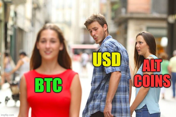 Crypto | USD; ALT COINS; BTC | image tagged in cryptocurrency,btc,hive,funny memes,laughing leo | made w/ Imgflip meme maker