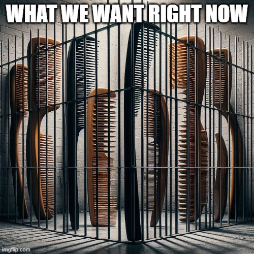 What we want right now | WHAT WE WANT RIGHT NOW | image tagged in combs,in prison,behind bars,sean puffy combs,diddy,visual pun | made w/ Imgflip meme maker