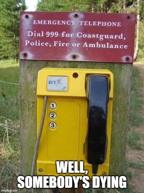 Dial 999 | WELL, SOMEBODY'S DYING | image tagged in you had one job | made w/ Imgflip meme maker