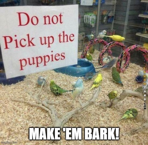 The Puppies | MAKE 'EM BARK! | image tagged in you had one job | made w/ Imgflip meme maker