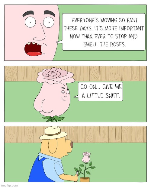 Smell the Roses | image tagged in comics | made w/ Imgflip meme maker
