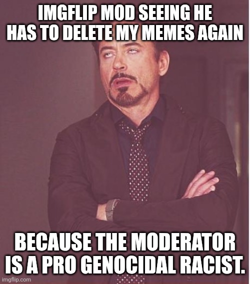 White lives matter. | IMGFLIP MOD SEEING HE HAS TO DELETE MY MEMES AGAIN; BECAUSE THE MODERATOR IS A PRO GENOCIDAL RACIST. | image tagged in memes,face you make robert downey jr | made w/ Imgflip meme maker