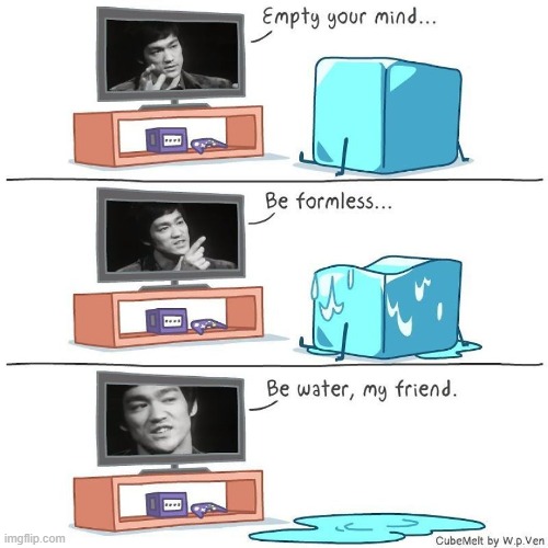 image tagged in bruce lee,wisdom,ice cube,melting,water,literally | made w/ Imgflip meme maker
