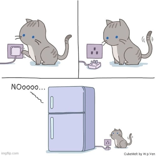 image tagged in cat,plug,fridge,freezer,ice cube,noooooooooooooooooooooooo | made w/ Imgflip meme maker
