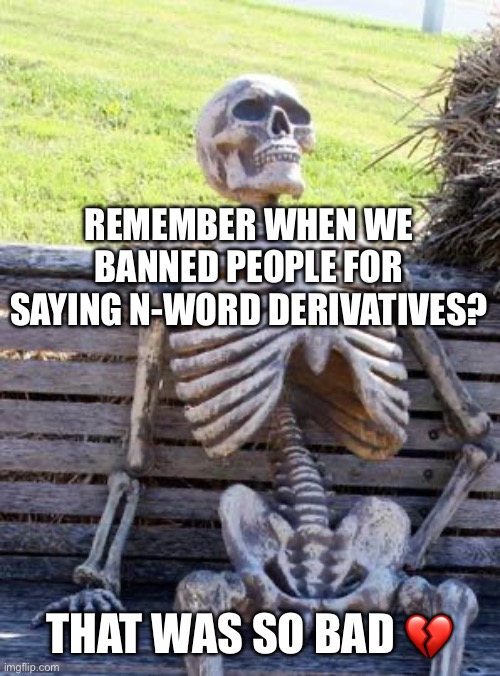 Waiting Skeleton | REMEMBER WHEN WE BANNED PEOPLE FOR SAYING N-WORD DERIVATIVES? THAT WAS SO BAD 💔 | image tagged in memes,waiting skeleton | made w/ Imgflip meme maker