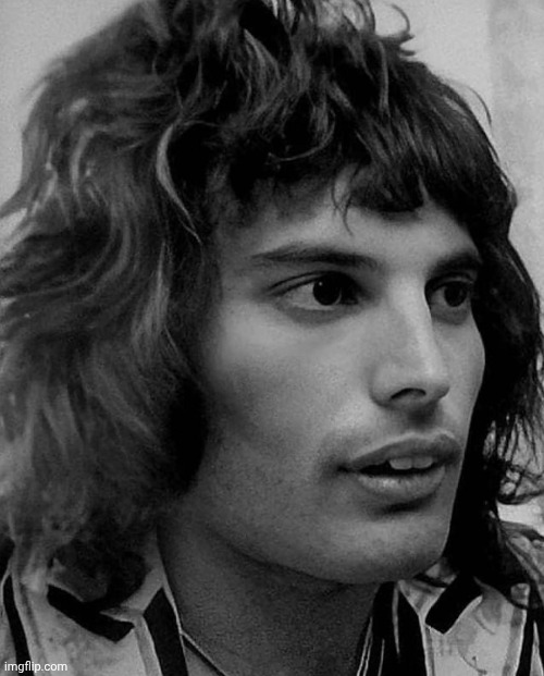 Haven't posted in a while cuz of new obsession with MJ. But isn't Freddie a cutie? | image tagged in freddie mercury | made w/ Imgflip meme maker