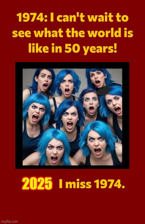 Oh i miss 50 years ago | 2025 | image tagged in woke,stupid liberals,millennials | made w/ Imgflip meme maker