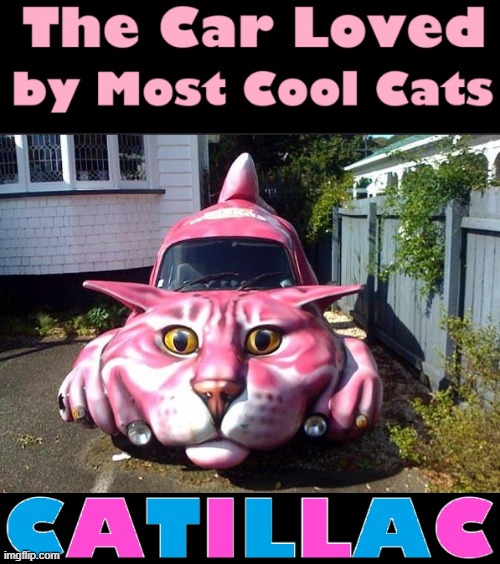 Felines' Favorite Flivver | image tagged in vince vance,cats,cadillac,funny cat memes,cars,cool cat | made w/ Imgflip meme maker