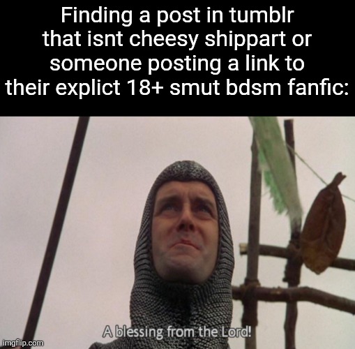 Its actually such a rarity tff | Finding a post in tumblr that isnt cheesy shippart or someone posting a link to their explict 18+ smut bdsm fanfic: | image tagged in a blessing from the lord | made w/ Imgflip meme maker