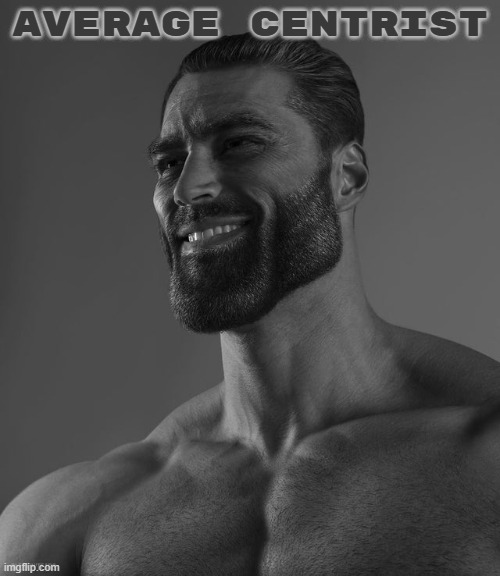 Giga Chad | AVERAGE CENTRIST | image tagged in giga chad,centrism,centrist,gigachad | made w/ Imgflip meme maker