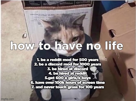 trust | how to have no life; 1. be a reddit mod for 500 years
2. be a discord mod for 1000 years
3. be hired at discord
4. be hired at reddit
5.get 600 e girls/e boys
6. have over 100k hours of screen time
7. and never touch grass for 100 years | image tagged in fancy cat | made w/ Imgflip meme maker