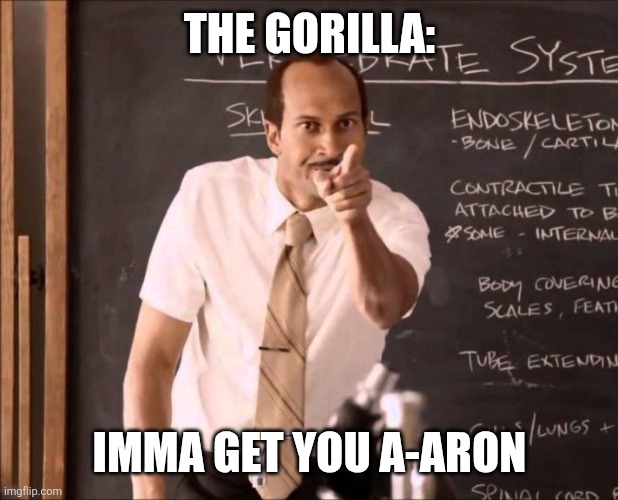 A-Aron | THE GORILLA: IMMA GET YOU A-ARON | image tagged in a-aron | made w/ Imgflip meme maker