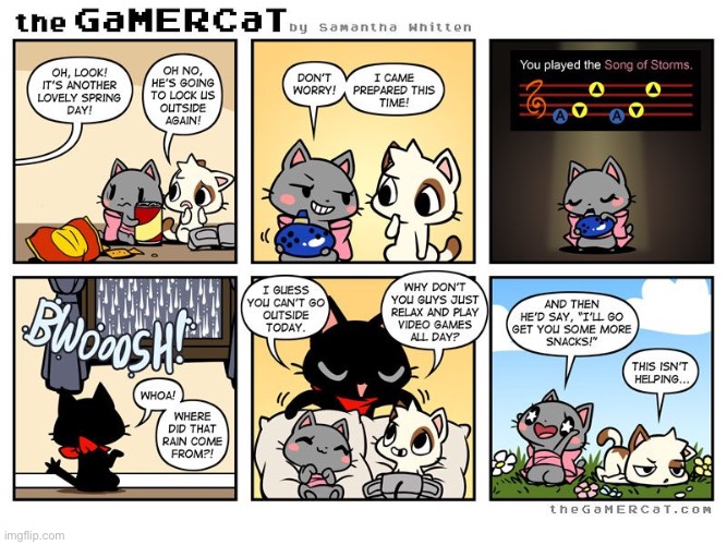 image tagged in cats,gamer cat,outside,raining | made w/ Imgflip meme maker