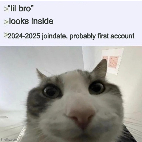 Cat looks inside | “lil bro”; looks inside; 2024-2025 joindate, probably first account | image tagged in cat looks inside | made w/ Imgflip meme maker