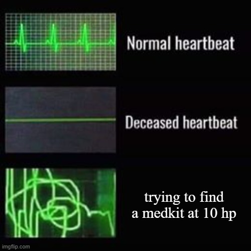 Heartbeat Rate (Perfect) | trying to find a medkit at 10 hp | image tagged in heartbeat rate perfect | made w/ Imgflip meme maker