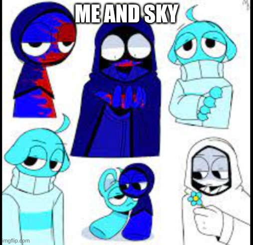 me and Sky (credit to letty) | ME AND SKY | image tagged in thing sky and jevin | made w/ Imgflip meme maker