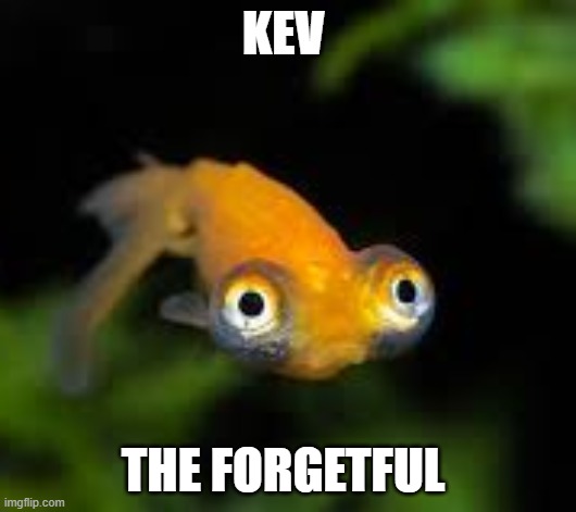 good bud kev | KEV; THE FORGETFUL | image tagged in memes,funny memes | made w/ Imgflip meme maker