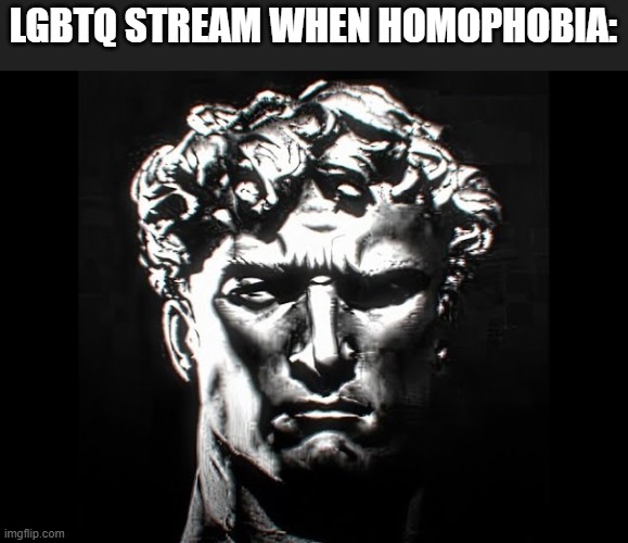 This is only the streams reaction and dark humor, not promoting fascism | LGBTQ STREAM WHEN HOMOPHOBIA: | image tagged in aryan male stare,lgbtq,giga chad,dark humor | made w/ Imgflip meme maker