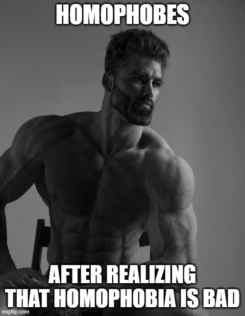 Giga Chad | HOMOPHOBES; AFTER REALIZING THAT HOMOPHOBIA IS BAD | image tagged in giga chad,lgbtq,lgbt | made w/ Imgflip meme maker
