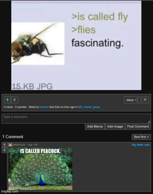 what a strange name for a creature | made w/ Imgflip meme maker