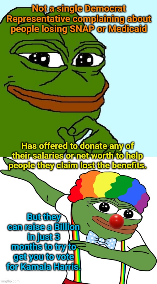 Not a single Democrat Representative complaining about people losing SNAP or Medicaid; Has offered to donate any of their salaries or net worth to help people they claim lost the benefits. But they can raise a Billion in just 3 months to try to get you to vote for Kamala Harris. | image tagged in smug pepe,meme frog | made w/ Imgflip meme maker