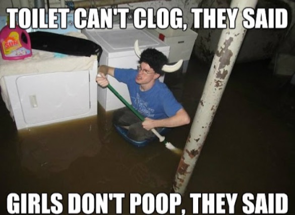 They Said... | image tagged in septic backup,flooded,girls poop too,poop,it will be fun they said,bathroom humor | made w/ Imgflip meme maker