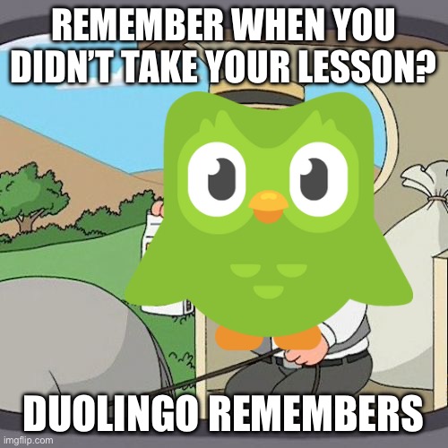 He Knows | REMEMBER WHEN YOU DIDN’T TAKE YOUR LESSON? DUOLINGO REMEMBERS | image tagged in memes,pepperidge farm remembers,duolingo | made w/ Imgflip meme maker
