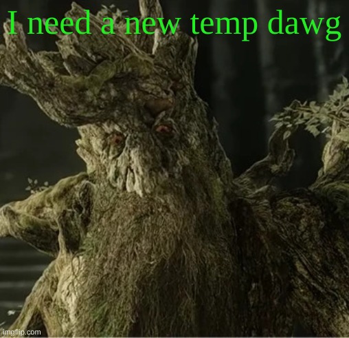Hecate | I need a new temp dawg | image tagged in hecate | made w/ Imgflip meme maker