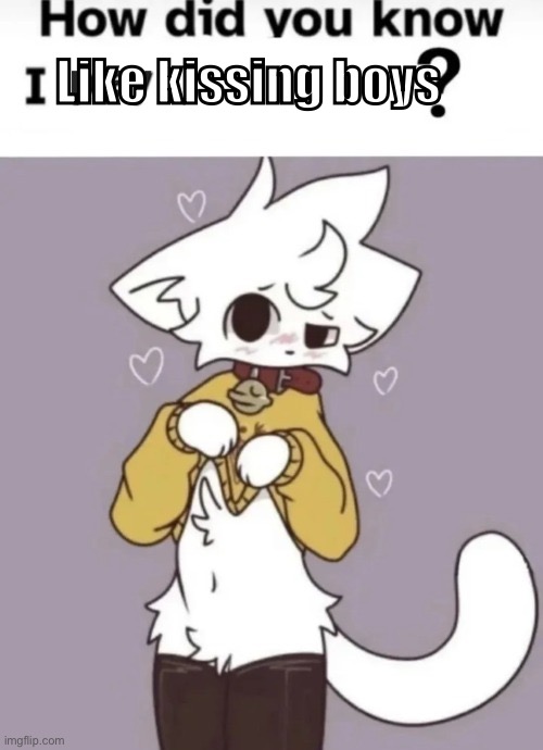 How did you know I play X? | Like kissing boys | image tagged in how did you know i play x | made w/ Imgflip meme maker
