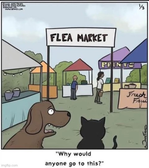 Flea Market | image tagged in fleas | made w/ Imgflip meme maker