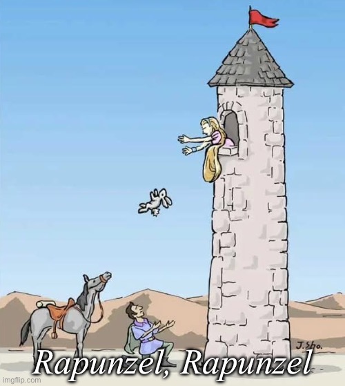 Rapunzel | Rapunzel, Rapunzel | image tagged in rapunzel,bad pun,hare,hair | made w/ Imgflip meme maker