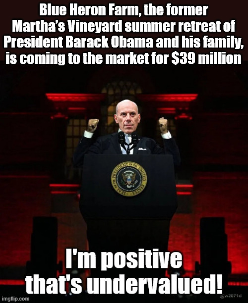 Blue Heron Farm, the former Martha’s Vineyard summer retreat of President Barack Obama and his family, is coming to the market for $39 million | image tagged in corrupt,dem,judges | made w/ Imgflip meme maker