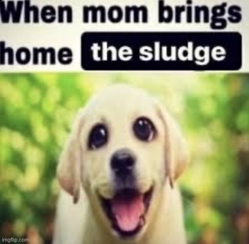 Sludge | made w/ Imgflip meme maker