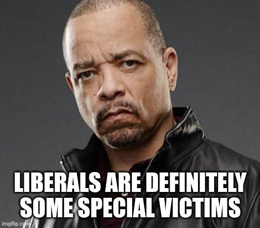 ice t | LIBERALS ARE DEFINITELY SOME SPECIAL VICTIMS | image tagged in ice t | made w/ Imgflip meme maker
