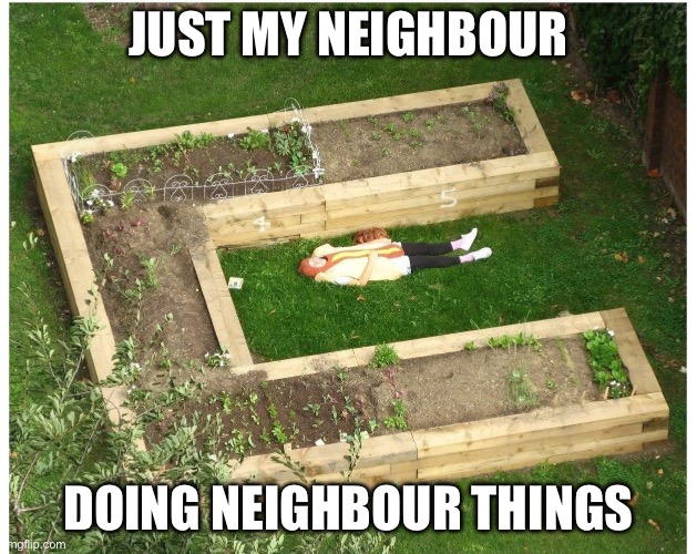 Neighbour | JUST MY NEIGHBOUR; DOING NEIGHBOUR THINGS | image tagged in neighbor | made w/ Imgflip meme maker
