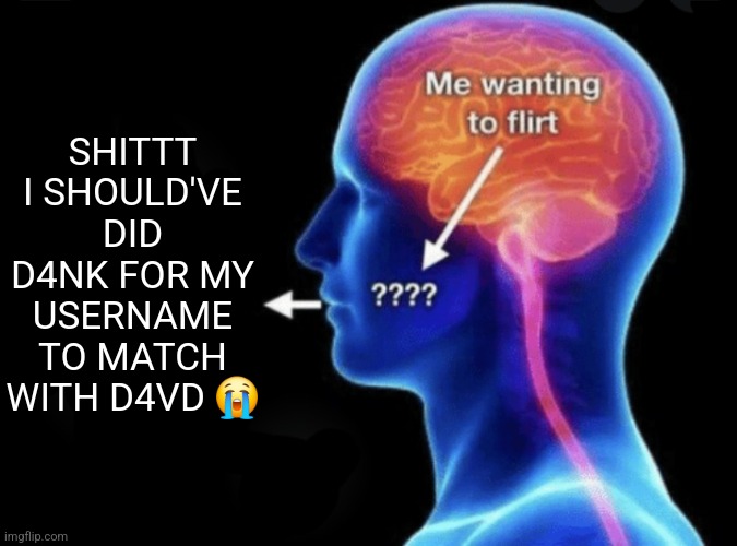 Me wanting to flirt | SHITTT I SHOULD'VE DID D4NK FOR MY USERNAME TO MATCH WITH D4VD 😭 | image tagged in me wanting to flirt | made w/ Imgflip meme maker