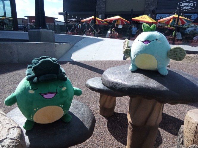 The Sprouts on mushrooms | image tagged in plushies,sprouts,quest,momma,mushrooms | made w/ Imgflip meme maker