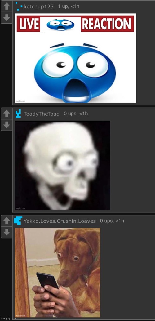 the baffling | image tagged in the baffling | made w/ Imgflip meme maker