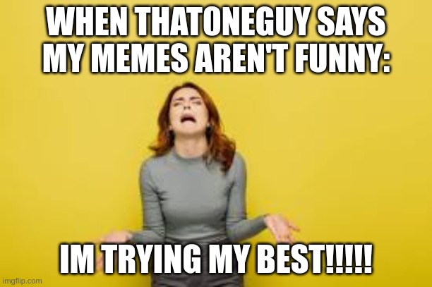 i really am, but he says mine aren't funny | WHEN THAT0NEGUY SAYS MY MEMES AREN'T FUNNY:; IM TRYING MY BEST!!!!! | image tagged in person complaining | made w/ Imgflip meme maker
