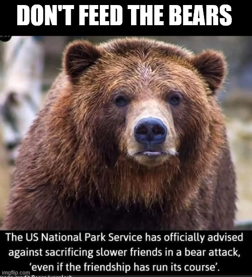 Don't feed the bears | DON'T FEED THE BEARS | image tagged in memes,do not feed the bears | made w/ Imgflip meme maker