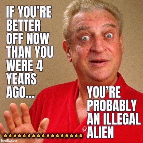 Isn't that the truth? | 👍👍👍👍👍👍👍👍👍👍👍👍👍👍👍👍👍 | image tagged in illegal aliens,america,illegal immigration,wait that's illegal,so true memes | made w/ Imgflip meme maker