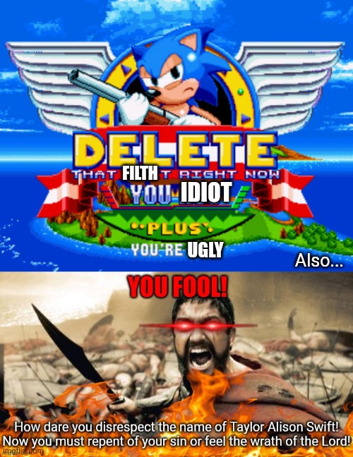 FILTH IDIOT UGLY Also... | image tagged in sonic holding a shotgun to tell you to delete,how dare you disrespect taylor swift | made w/ Imgflip meme maker