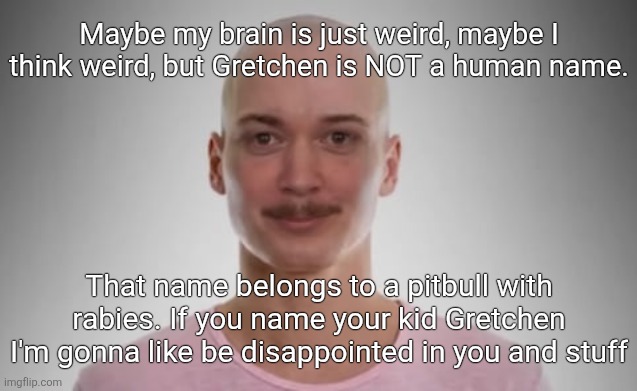 Bald Jimmyhere | Maybe my brain is just weird, maybe I think weird, but Gretchen is NOT a human name. That name belongs to a pitbull with rabies. If you name your kid Gretchen I'm gonna like be disappointed in you and stuff | image tagged in bald jimmyhere | made w/ Imgflip meme maker